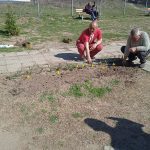 Работата в градината е най-добрата трудотерапия ...